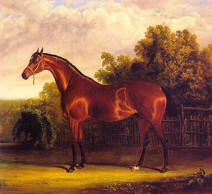 Herring, John F. Sr. Negotiator the Bay Horse in a Landscape